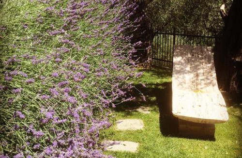 Ortonovo Bed & Breakfast | Locanda Il Monastero