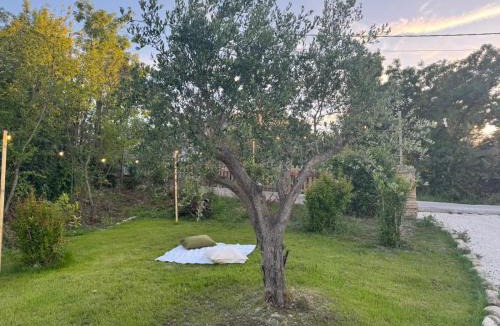 Saludecio Bed & Breakfast | Locanda il nido