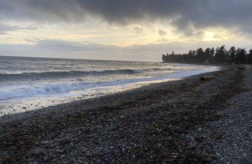 Campbell River House | Located across from stunning Oyster Bay, 20 minutes to Mt Washington ski resort!
