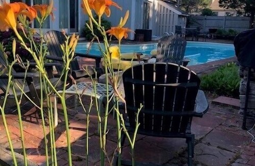 Barnstable Apartment | Location - Walk to Beach - Pool Access - Waterviews