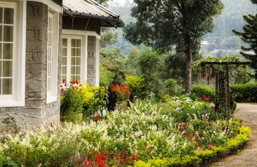 Devikolam Cabin | Lockhart Bungalow Munnar CGH Earth