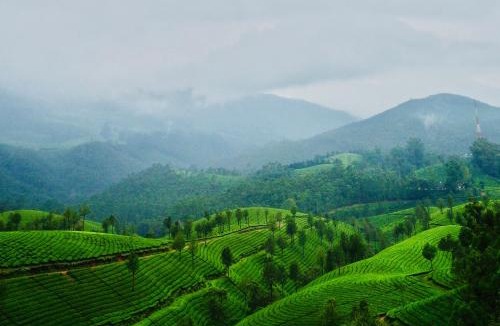 Devikolam House | Lockhart Bungalow Munnar - A CGH Earth SAHA Experience