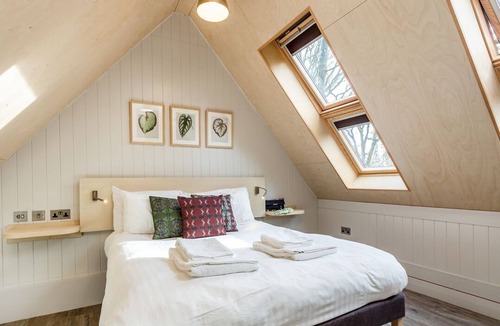 Corfe Castle Cabin | Lodge 8, Corfe Castle