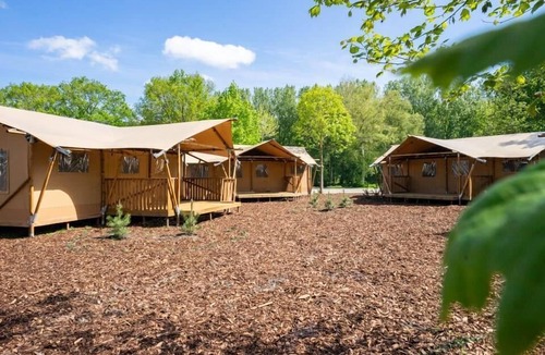 Amstelveen Cabin | Lodgetent 4