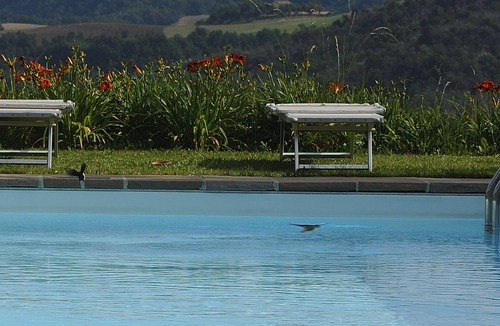 Monzuno House | Lodole Relais
