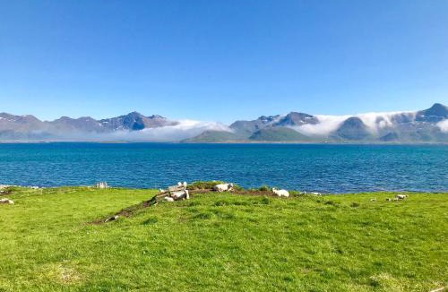 Bostad House | Lofoten Bay View