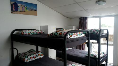 Tauranga Hostel | Loft 109 Backpackers Hostel