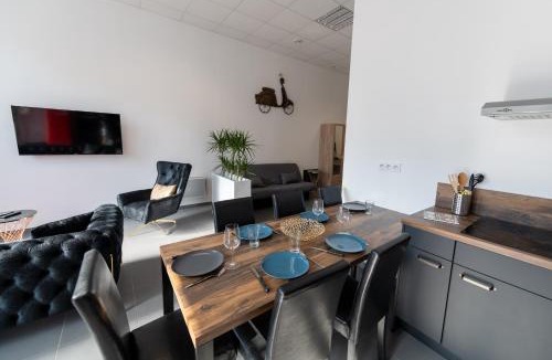Rive-de-Gier Apartment | LOFT LA MINE D'OR - Parking gratuit et privé - Wifi - Tout équipé - Machine à laver