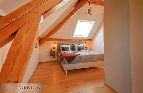 Weverce Apartment | Loft Merida - Designer Apartment with Large Bathtub