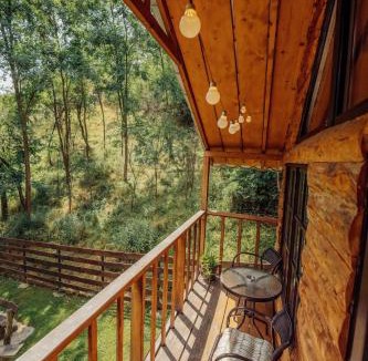 Pesteana Other | Loft Treehouse