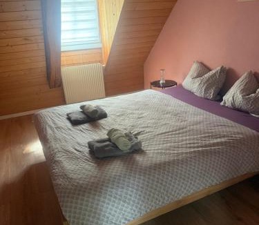 Wimmis Apartment | LOFT WINTERZEIT - NEAR INTERLAKEN SPIEZ THUN - Wandern und Skifahren