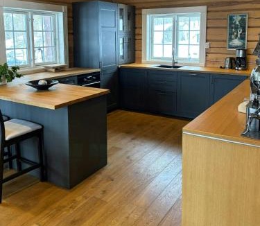 Akrestrømmen House | Log Cabin With Panoramic Views Near Renåfjellet