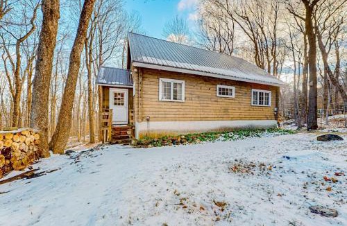 Wilmington House | Log Ski Lodge