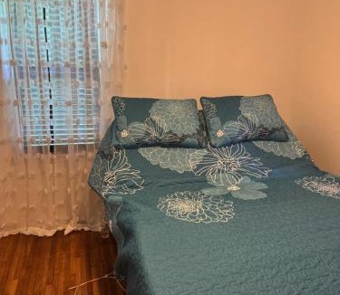 Minneapolis House | Logans Lodge