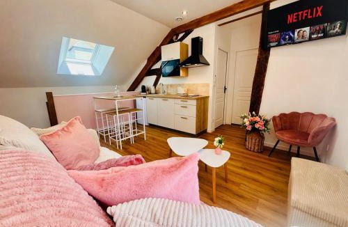 Romorantin-Lanthenay Apartment | Logis d Esmeralda centre-ville-arrivee auto- Clim