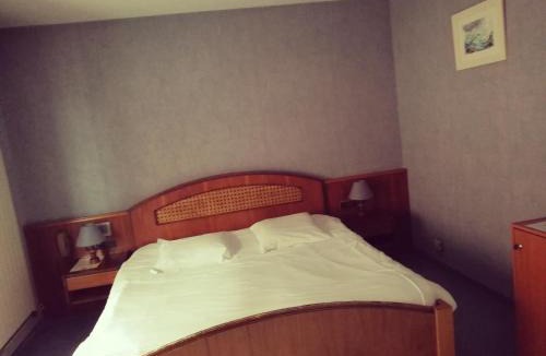 Ingwiller Hotel | Logis Hotel Aux Comtes De Hanau