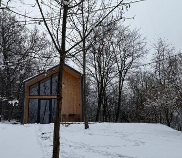 Slanic Ski Chalet | Loku'
