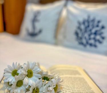 Giresun Bed & Breakfast | Lonca Butik Hotel