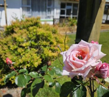 Hokitika House | Longford
