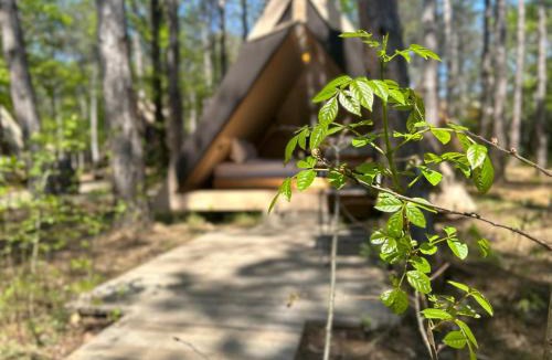 Demirkoy Apartment | LONGOSPHERE GLAMPING