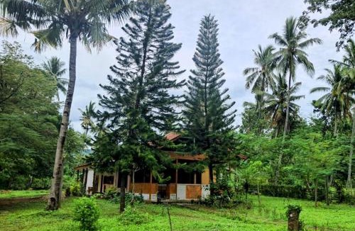 Riung Bed & Breakfast | Lonthar B&B - Adults Only