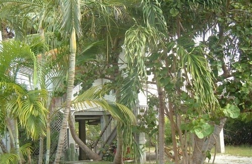 Breezeswept Beach Estates House | Looe Key Villa - Beautiful Ocean View - 3 Balconies