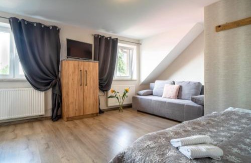 Plock Apartment | LOQUS Apartamenty Studia Pokoje