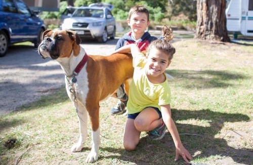 Lorne Resort | Lorne Foreshore Caravan Park