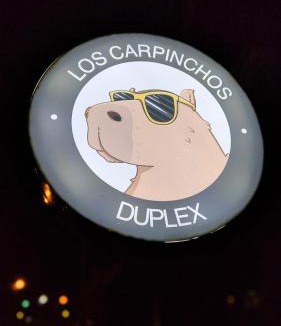 Federacion House | Los Carpinchos: Duplex