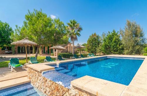 Campos Villa | Los Girasoles