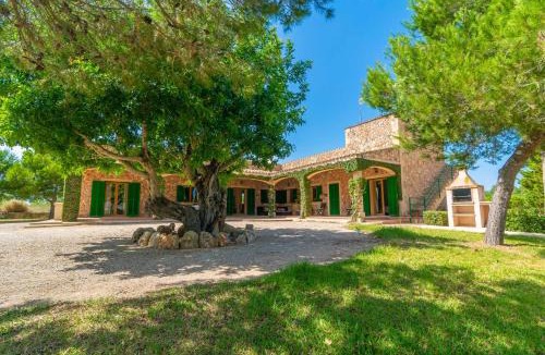 Campos Villa | Los Girasoles