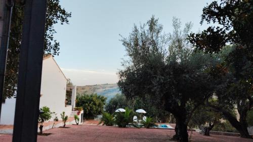 Periana House | Los Tréboles