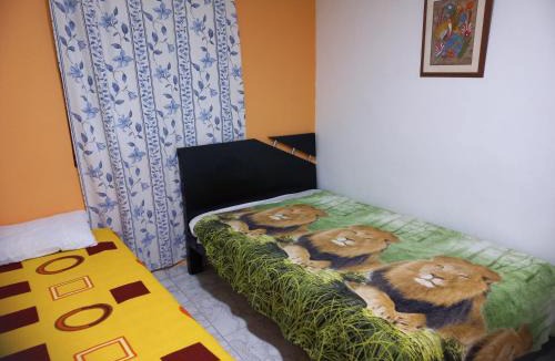 Salento House | Los Tres Leones