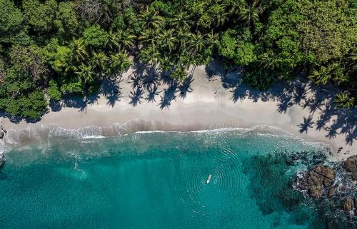 Paquera Hotel | Los Vivos Beachfront Experience