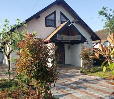 Crisan House | Lotca lu Vasile