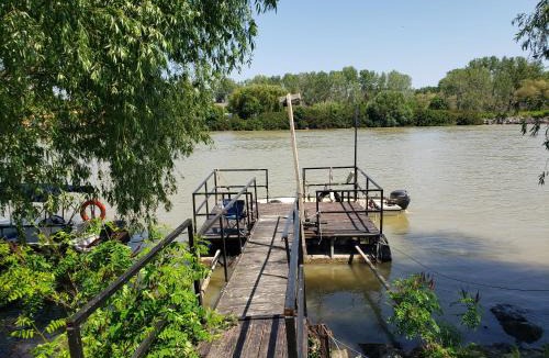 Crisan House | Lotca lu Vasile