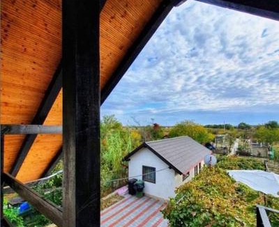Crisan House | Lotca lu Vasile