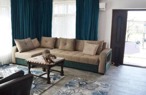 Crisan House | Lotca lu Vasile