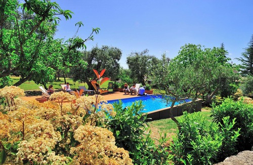 Alberobello House | Lots greenery 2 km from Alberobello Unesco heritage site unique and welcoming