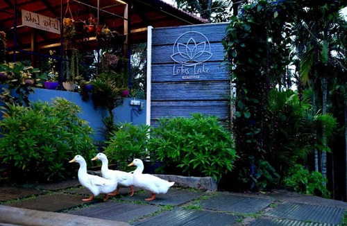 Sakleshpur Resort | Lotus Lake Retreat