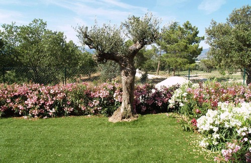 La Rouviere Apartment | Lovely apartment for 6 people with pool, A/C, WIFI, TV, patio and pets allowed