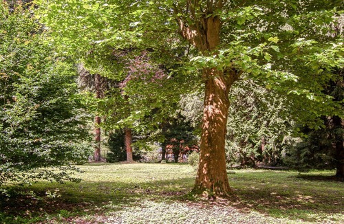 Trarbach Apartment | Lovely apartment for 4 guests with WIFI, hot tub, TV, patio, pets allowed and parking