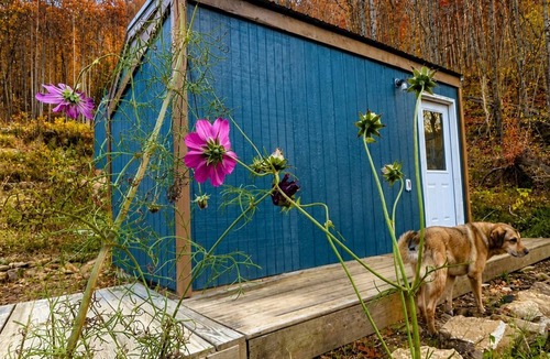 Barnardsville House | Lovely Tiny Home, Edge of Pisgah, Bold Creek. Sauna, Cowork Lounge, Market