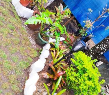 Tacloban Apartment | LR Bungalow