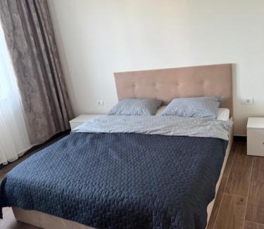 Caransebes House | Lucas&Timeea