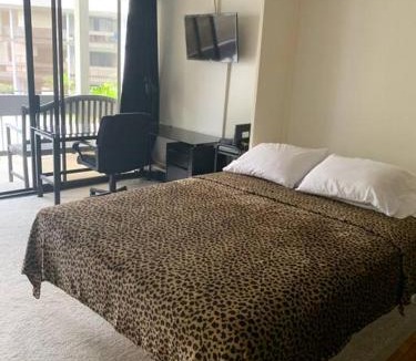 Hilo Apartment | Lucy's Place -STUDIO Apt with air-conditioning, Murphy bed