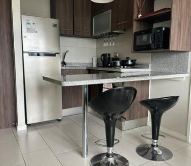 Temuco Apartment | LUGAnO 301