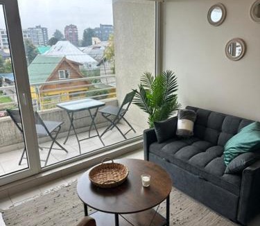Temuco Apartment | LUGAnO 301