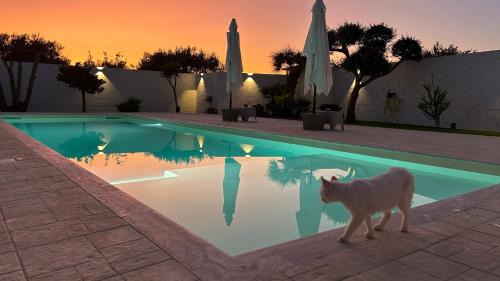 Chiaramonte Gulfi House | Lumìa