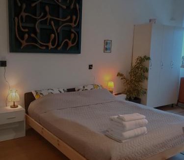 Sfantu Gheorghe Apartment | Lumiere Studio 1